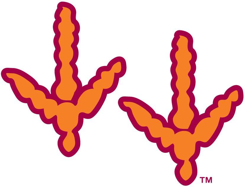 Virginia Tech Hokies 2000-Pres Alternate Logo v2 iron on transfers for T-shirts